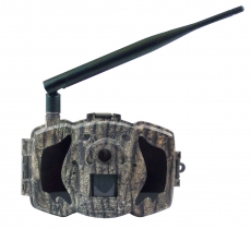 4G/LTE MG984G-36M MMS  Wildkamera 36 MP 1080 FHD