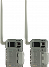 Spypoint LM 2 Twin Pack